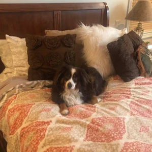 Meet your Posher, Janice